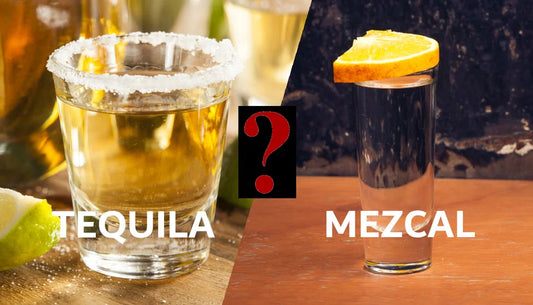 Tequila y Mezcal. ¿Cuál es la diferencia?